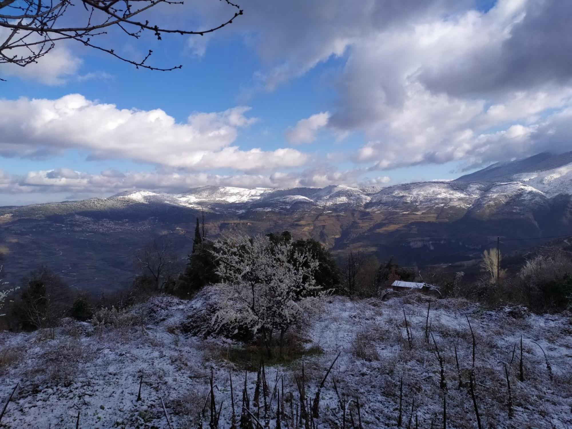 Μικρή Ζήρεια Ενοικιαζόμενη Κατοικία 塞尼梅西奇卡罗 外观 照片