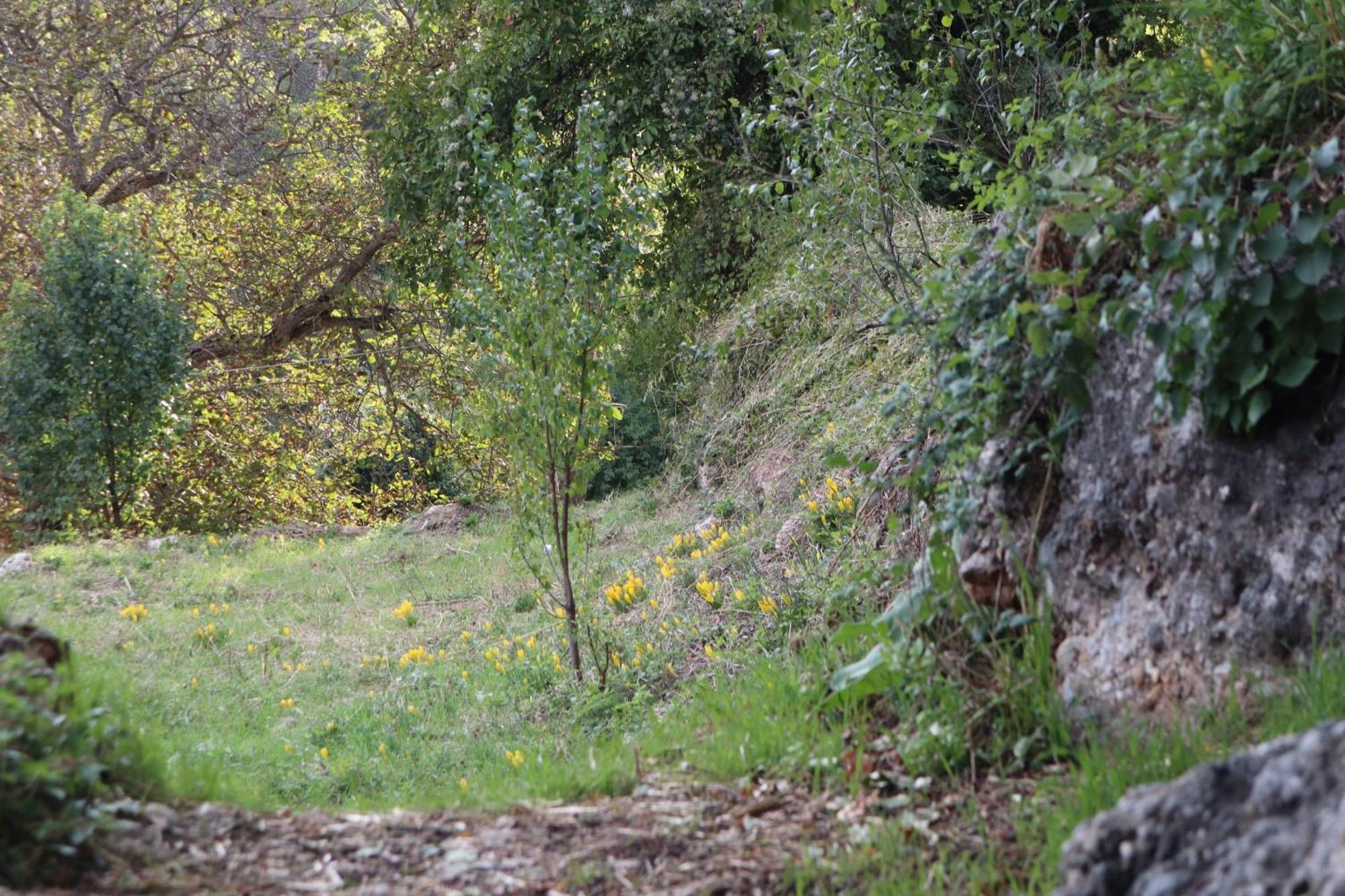 Μικρή Ζήρεια Ενοικιαζόμενη Κατοικία 塞尼梅西奇卡罗 外观 照片